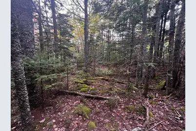 12-2 S S Burnt Cove Road, Stonington, ME 04681 - Photo 5
