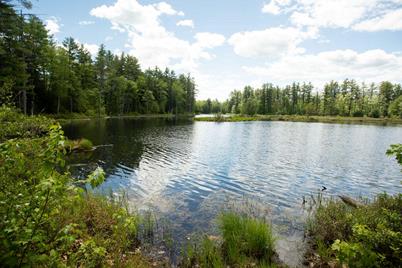 Tbd Johnny Lane #Lot 1, Berwick, ME 03901 - Photo 1