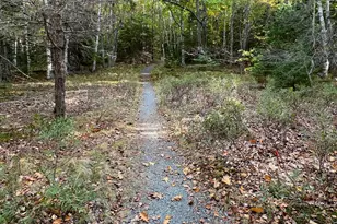 472 Schooner Head Rd, Bar Harbor, ME 04609 - Photo 103