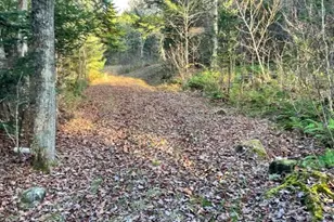 0 Little Huston Brook Rd, ConnorTownship, ME 04920 - Photo 187