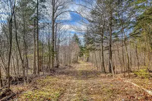 0 Little Huston Brook Rd, ConnorTownship, ME 04920 - Photo 59