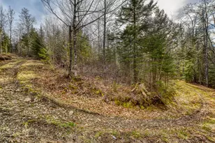 0 Little Huston Brook Rd, ConnorTownship, ME 04920 - Photo 165