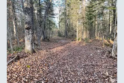 0 Little Huston Brook Road, ConnorTownship, ME 04920 - Photo 177