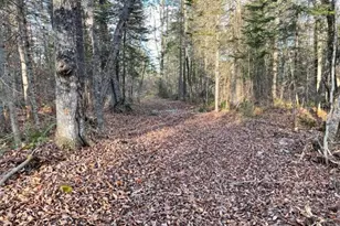 0 Little Huston Brook Rd, ConnorTownship, ME 04920 - Photo 177