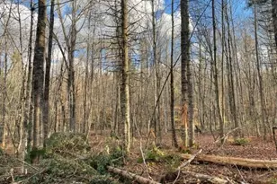 0 Little Huston Brook Rd, ConnorTownship, ME 04920 - Photo 171