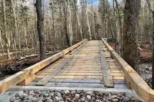 0 Little Huston Brook Rd, ConnorTownship, ME 04920 - Photo 9