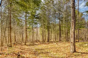 0 Little Huston Brook Rd, ConnorTownship, ME 04920 - Photo 57