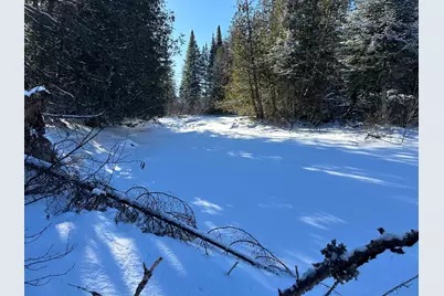 0 Wilcox Road, Cary, ME 04730 - Photo 17