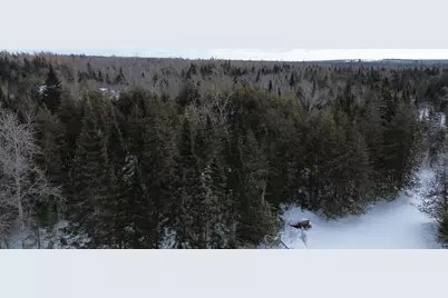 0 Wilcox Road, Cary, ME 04730 - Photo 7