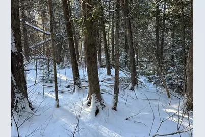 0 Wilcox Road, Cary, ME 04730 - Photo 15
