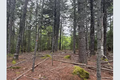 001-108 Oak Point Road, Trenton, ME 04605 - Photo 3