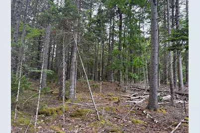 001-108 Oak Point Road, Trenton, ME 04605 - Photo 5