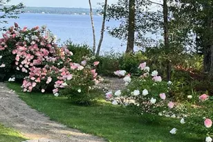 115 Pirates Cove Rd, Stockton Springs, ME 04981 - Photo 65