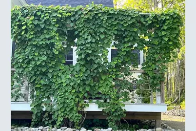 115A&b Pirates Cove Road, Stockton Springs, ME 04981 - Photo 69