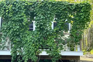 115 Pirates Cove Rd, Stockton Springs, ME 04981 - Photo 69