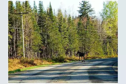 67 Saddleback Mountain Road, Dallas Plt, ME 04970 - Photo 21