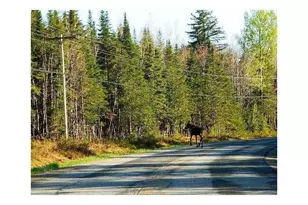 67 Saddleback Mountain Rd, Dallas Plt, ME 04970 - Photo 21