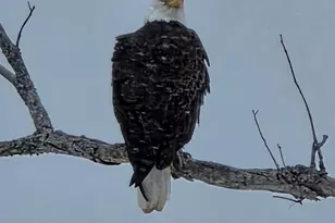 985 N North Main St, Winterport, ME 04496 - Photo 21