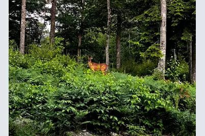 985 N North Main Street, Winterport, ME 04496 - Photo 7