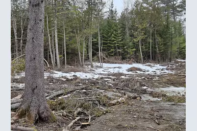 M1 L36-3 Main Street, Palmyra, ME 04965 - Photo 3