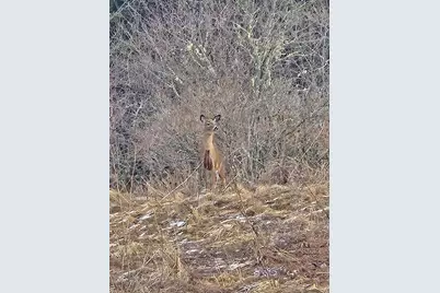 1508 Oxbow Road, Oxbow, ME 04764 - Photo 15