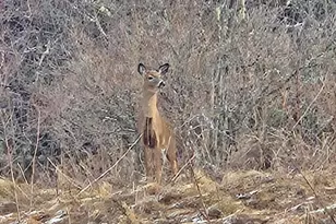 1508 Oxbow Rd, Oxbow, ME 04764 - Photo 15