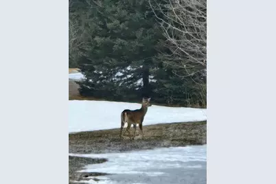 1508 Oxbow Road, Oxbow, ME 04764 - Photo 13