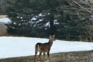 1508 Oxbow Rd, Oxbow, ME 04764 - Photo 13