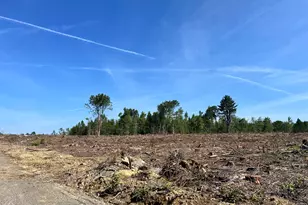 256 Merrill Rd, Levant, ME 04456 - Photo 1