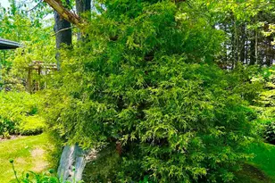 177 Richtown Rd, Tremont, ME 04612 - Photo 57