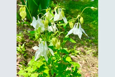 177 Richtown Road, Tremont, ME 04612 - Photo 55