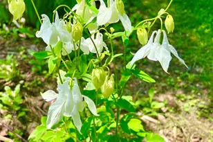 177 Richtown Rd, Tremont, ME 04612 - Photo 55