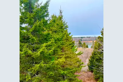 177 Richtown Road, Tremont, ME 04612 - Photo 51