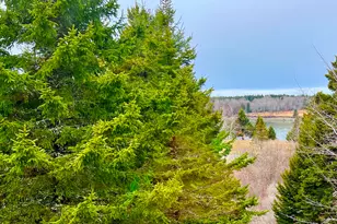 177 Richtown Rd, Tremont, ME 04612 - Photo 51