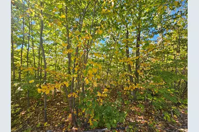 059-007 Soper's Mill Road, Auburn, ME 04210 - Photo 5