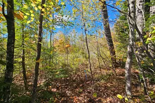 059-007 Soper's Mill Rd, Auburn, ME 04210 - Photo 1