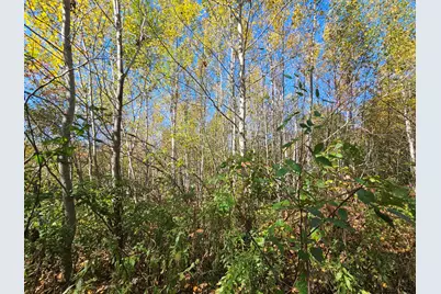 059-007 Soper's Mill Road, Auburn, ME 04210 - Photo 15