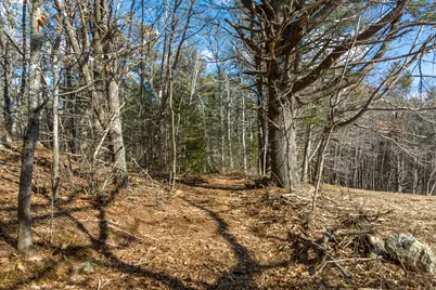 Map10Lot5 Benner Road, Bristol, ME 04539 - Photo 15