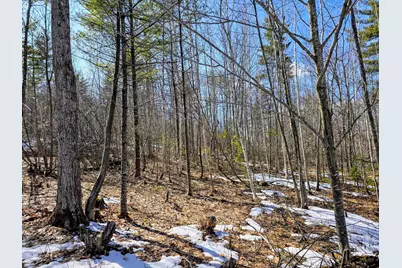 0 Sabattus Trail Road, Lovell, ME 04051 - Photo 7