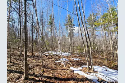 0 Sabattus Trail Road, Lovell, ME 04051 - Photo 1