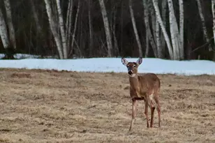 503 Main St, Reed Plt, ME 04497 - Photo 15