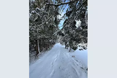 503 Main Street, Reed Plt, ME 04497 - Photo 43