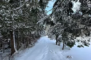 503 Main St, Reed Plt, ME 04497 - Photo 43