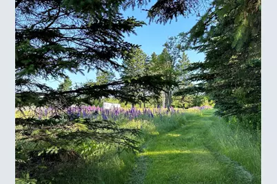 503 Main Street, Reed Plt, ME 04497 - Photo 9