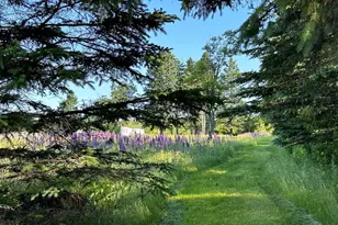 503 Main St, Reed Plt, ME 04497 - Photo 9