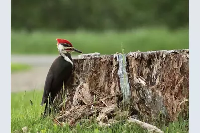 503 Main Street, Reed Plt, ME 04497 - Photo 11