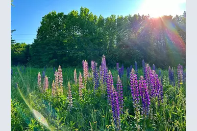 503 Main Street, Reed Plt, ME 04497 - Photo 13