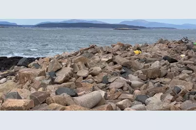 0 Butler Road, Frenchboro, ME 04635 - Photo 1