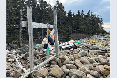 0 Butler Road, Frenchboro, ME 04635 - Photo 13