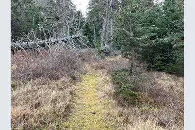 0 Butler Road, Frenchboro, ME 04635 - Photo 19